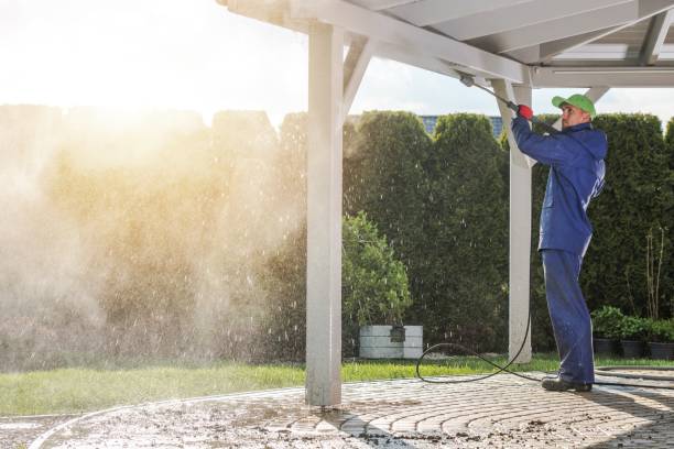 Best Gutter Cleaning  in Harrisville, WV